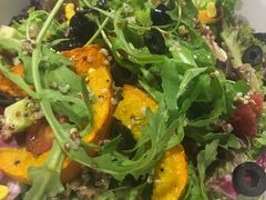 -百好乐宠物友好餐厅(朝外大街店)