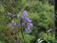 -怀托摩萤火虫洞