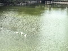 -珠海圆明新园