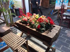 -丽江庭院之爱在路上(西单店)