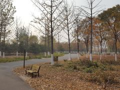 -永定河休闲森林公园