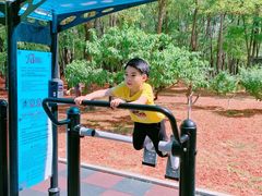 -朝阳公园游乐园