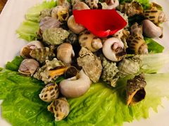 螺拼盘-浙C老邻舍(西城海错店)