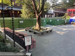 -香积寺