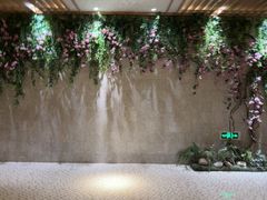 -浅深(北京北四环精品店)