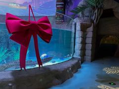 -沈阳海洋探索中心