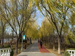 -大兴滨河森林公园