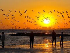 -老虎石海上公园