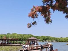 -石家庄市植物园