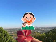 -北京西山国家森林公园