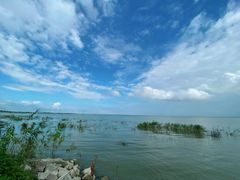 -泗洪洪泽湖湿地景区