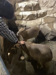 -Zoolung Zoolung动物主题公园(海信广场店)