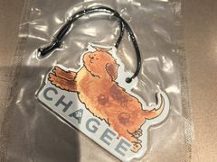 -霸王茶姬(上海浦东机场店)