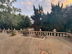 -青岛海景花园大酒店·白果树餐厅青岛菜