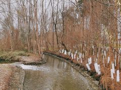 -桤木河湿地公园