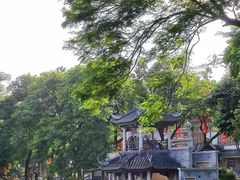 -荔湾湖公园