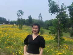 -蒲河岛湿地公园