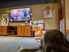 -大江户·温泉洗浴(浑南店)