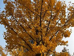 -北京金海湖景区