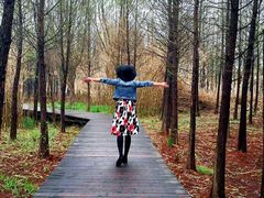 -溱湖国家湿地公园