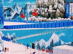 -湘江欢乐城欢乐雪域