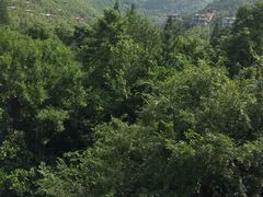 -天目湖御水温泉·度假酒店