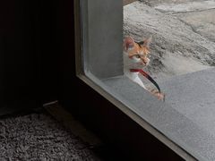 -Again Coffee Roaster(香蜜湖店)