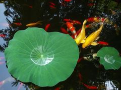 -韩食代烧烤(龙华路美食街店)