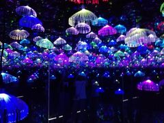 -武汉5D星空错觉艺术馆(中心百货店)