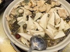 -野菌园·野生菌火锅首创第一家(关兴路总店)