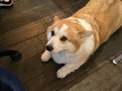 -肥朵食堂(带梦胡同店)