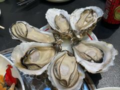-飞尝蚝·顺德菜·鱼生(顺德总店)