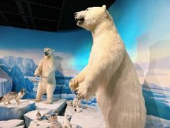 -陕西自然博物馆