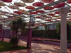 -广东花都香草世界旅游度假区