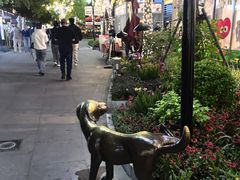 -中粮·祥云小镇