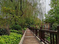 -天赐温泉