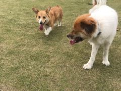 -钟山体育运动公园