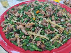 -东吴霸王兔(松青路店)