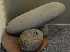 -冰岛阴茎博物馆