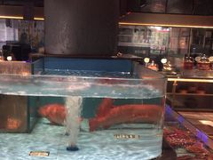 -阿伟海鲜楼·福建菜(延寿店)