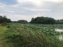 -艾溪湖湿地公园