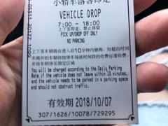 -迪士尼乐园停车场
