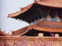 -三国水浒景区(无锡影视基地)