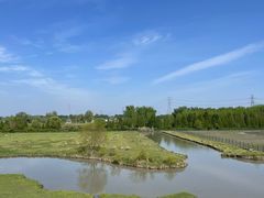 -溱湖国家湿地公园