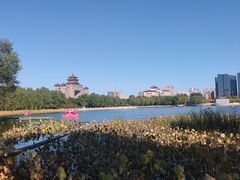 -莲花池公园