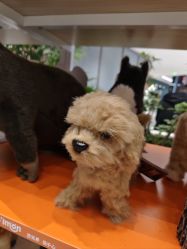 -IMON·HANSA潮玩玩偶毛绒玩具(通州万象汇店)