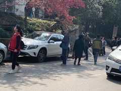 -武汉大学图书馆·文理学部总馆