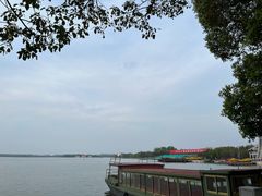 -溱湖国家湿地公园