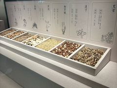 -中国湿地博物馆