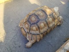 -陕西自然博物馆